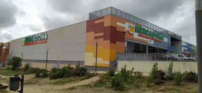 Mercadona Avenida de Francia, 144-E, Arroyomolinos