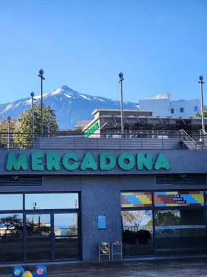 Mercadona Calle la Magalona, 9 (c.c. la Magalona), Icod de los Vinos