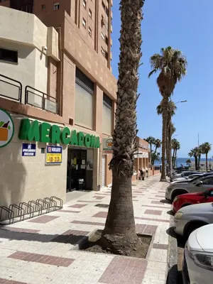 Mercadona Calle Gutemberg, 1, Málaga