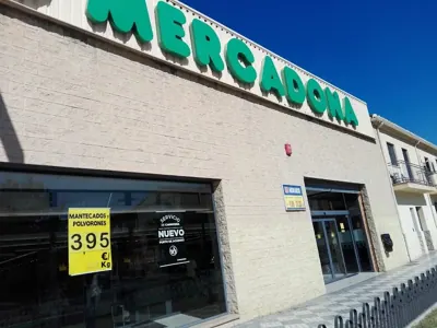 Mercadona Camino de la Torrecilla, 18, Maracena