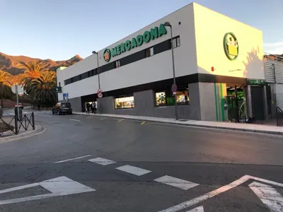 Mercadona Calle Francisca Carrillo, 3 (urb.xarblanca), Marbella