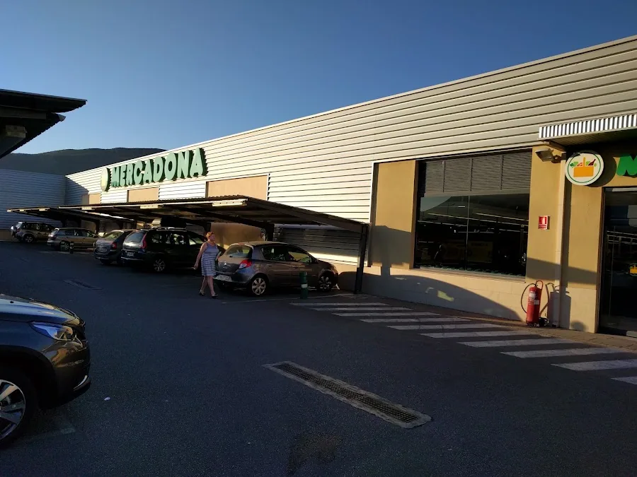 Supermercado Mercadona en Avenida Alcalde Fernando Alemany, 36, Pego