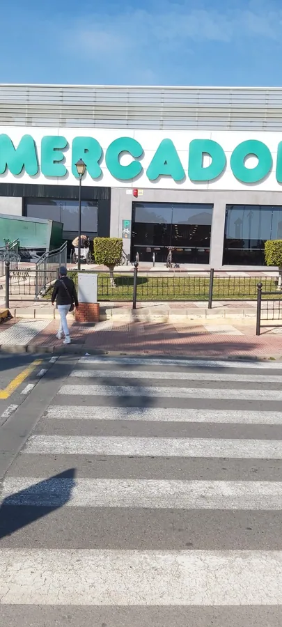 Supermercado Mercadona en Calle Pintor Rosales, 98, Roquetas de Mar
