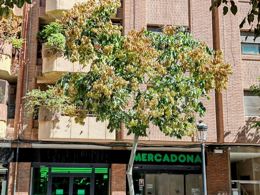 Supermercado Mercadona en Avenida Cardenal Benlloch, 91, Valencia